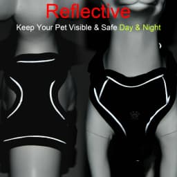 Breathable Cat Harness Leash for Small Medium Dogs Cats Adjustable Reflective Harnesses Pets Vest Puppy Maine Sphynx Supplies