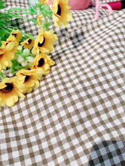 Rde Picnic Outdoor Blanket, Foldable Blankets Gingham Picnic Mat Tablecloth