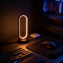 1Pcs Table Lamp Bedroom Ring Table Lamp Living Room Black And White USB Dimming Bedside Lamp LED Small Night Light