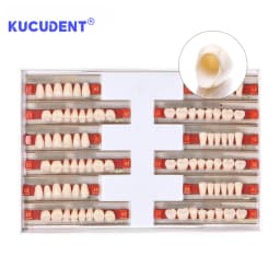 84 Pcs/Set Dental Acrylic Resin Teeth - Full Upper & Lower Denture Set A1/A2/A3 Shades for Dentists Lab | S/M/L Sizes
