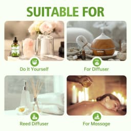 100ml/60ml/30ml Peppermint Essential Oil Hydrating Multifunctional Essential Oil Aromatherapy Candle Car Diffuser