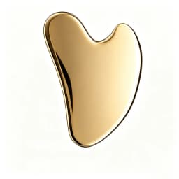 Thick Stainless Steel Dolphin Gua Sha Facial Tool - Fragrance-Free, Battery-Free Eye & Face Massage Board for Deep Tissue Pressu