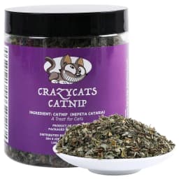 Organic 100% Natural High Quality Catnip Cattle Grass Mint Taste Funny Cat Toy New Cat Toy Interactive Cat Toys Pet Supplies