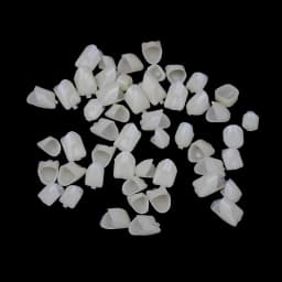 2 Packs New Dental Temporary Crown Material For Anterior + Molar Teeth Veneers Gum Protection And Stable