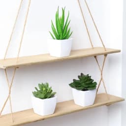 3PCS Artificial Evergreen Plant Bonsai, Suitable For Home, Restaurant, Office, Desktop, And Window Sill Decoration
