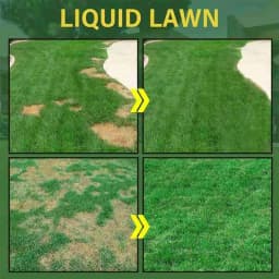 Turf Grass Seed Growth-boosting Liquid Effective Garden Hydro Mousse Liquid Home Garden Turf Care Liquid For Tool Misting System
