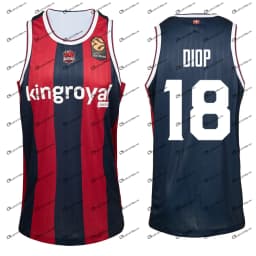 AI-Designed Baskonia Basketball Jersey 2026 New Arrivals Fan Gifts T-Shirts for Adults Kids Men Women Quick-Dry Tops Casual Tee