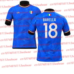 Quick-drying Classic Football Jersey Men football T-shirt R.Baggio 10 Jersey football training Special Edition Jersey Kid TEE