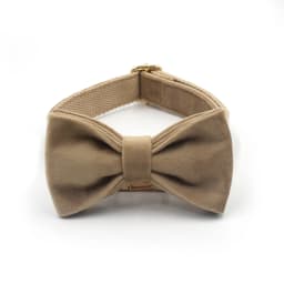 Light Coffee Velvet Harness for Dogs Personalized Mini Size Collar for Cat Tiny Dogs Soft Adjustable Bowtie Collar and Leash Set