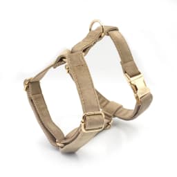 Light Coffee Velvet Harness for Dogs Personalized Mini Size Collar for Cat Tiny Dogs Soft Adjustable Bowtie Collar and Leash Set