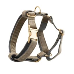 Light Grey Velvet Dog Collar And Leash Set with Custom Engraved Nameplate Pet Supplies for Dogs Soft 12-Length Leash