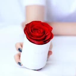 Preserved Rose Flower Round Hug Bucket Gift Box Eternal Flower Immortal Rose Wedding Valentines Day Gift For Girlfriend Mum Wife