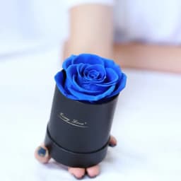 Preserved Rose Flower Round Hug Bucket Gift Box Eternal Flower Immortal Rose Wedding Valentines Day Gift For Girlfriend Mum Wife