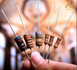 2pcs/lot British original Audio Note 2W series tantalum film resistors HI-END audio resistor free shipping