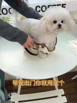 Cross-Body Portable Dog Bag with Traction Rope Pet Dog Backpack for Walking Dogs Stylish Pet Supplies in Trend