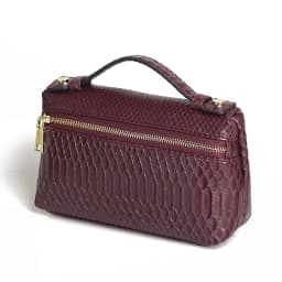 TOPHIIGH Newly Handbag Fashion Portable Make Up Bag For Women Clutch Snake Red Coffee Ladies Hand Bag Purse Ins Hot Selling