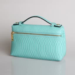 TOPHIIGH Newly Handbag Fashion Portable Make Up Bag For Women Clutch Snake Red Coffee Ladies Hand Bag Purse Ins Hot Selling
