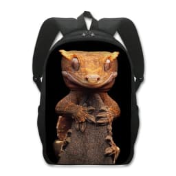 16 Inches Pet Frog Chameleon Snak Spider Animal Print Backpack Women School Bags for Travel Children Kids Book Bag Gift