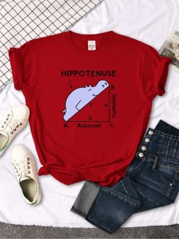 Women T-Shirt Hippo Sleeping On Math Problem Printing Shirt Females O-Neck Loose Oversize Top Slim Kawaii Animal Ladies T Shirt