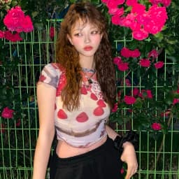 Karrram Y2k Aesthetics Mesh Tops Grunge Graphic Crop Top Korean Fashion Designer Clothes 2000s Harajuku Sheer Top E-girls Tshirt