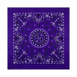 56CM Women Foulard Hip Hop Amoeba Cotton Square Scarf Bandana Headband Paisley Gifts For Men/Boys/Girls High Quality