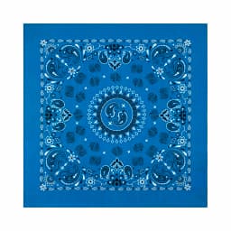 56CM Women Foulard Hip Hop Amoeba Cotton Square Scarf Bandana Headband Paisley Gifts For Men/Boys/Girls High Quality