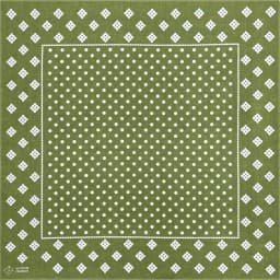 Green Cotton Square Bandana Scarf High Quality New Design Hip Hop Scarf Print Headband Paisley Gifts For Men/Boys/Girls