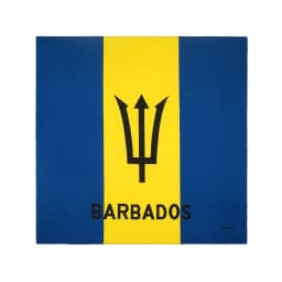 Square Running Headband Scarf Jamaica Flag Bandana 100% Cotton Biker Cycling Head Wrap Cowboy Kerchief Men Women Neck Accessary
