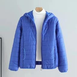 Women Jacket Autumn Winter Parkas 2024 New Female light Thin Down Cotton Coat Ladies Casual Hooded Short Warm Basic Overcoat