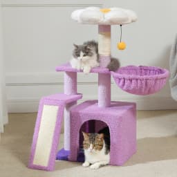 Small Cat Tree for Indoor Cats, Flower Cat Tower with Sisal Scratching Ramp, Cozy Hammock, Removable Flower Top Perch, Cat Condo