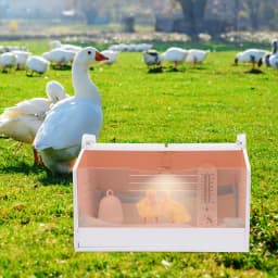 20 Eggs Incubator Dimmable Poultry Hatchery 220V 25W Electric Chicken Brooder Box w/ Water Feeder+Diapers+Thermometer 48*30*30cm