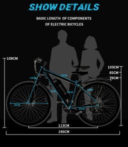 DUOTTS C29 Electric Bicycle 750W Motor 48V30AH Lithium Battery Adult Electric Bike 29-inch Tire Riding City Mountain Snow E-bike