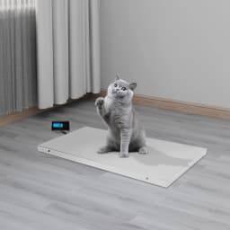 Pet Scales Digital Veterinary 300Kg Stainless Steel Large Robust Animal Three Weighing Units kg/lb/oz With Tare LCD Display