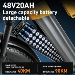 PULUMA PH003 Electric cycle twin Motor 48V20AH Removable Battery 26*4.0 Inch Fat hand Urban Off-Road Electric Bicycle