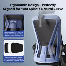 AUTHMIC Office Chair - Foldable Armrests, Reclining Backrest, Adjustable Headrest, Adjustable Lumbar, Max 150kg, Desk chair