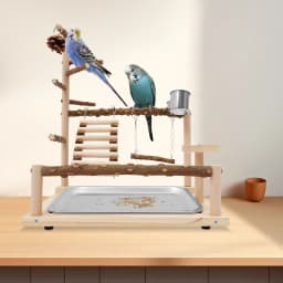 Wooden Bird Playground, Bird Playground, Parrot Playground