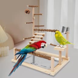Wooden Bird Playground, Bird Playground, Parrot Playground