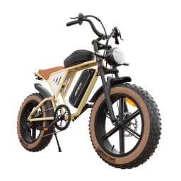JANSNO X70G Electric Bicycle 750W Powerful Motor 48V34AH Lithium Battery Adult Electric Bike 20*4.0 inch Fat Tire Mountain Ebike