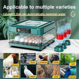 9/15/24/36 Eggs Incubator With Drawer Type EggIncubator With Automatic Water Ionic Waterbed Replenishment And Temperature Contro