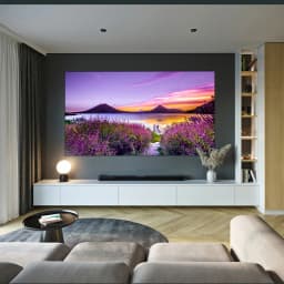 Wupro 2025 Top Projector Screen Gallery Soft Gray Fixed Frame Screen Anti-Light Ultra Narrow Bezel CLR 8K 3D For ALL Projection