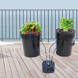 2Pcs Hydroponic System Grow Kit 5 Gallon Deep-water Culture Mechanism with Air Pump Soilless Cultivation for Flowers Vegetables