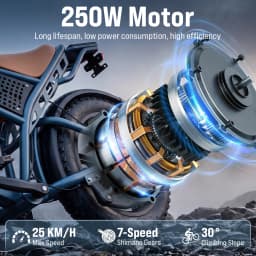 DEEPOWER QS7 Electric Bicycle 1000W Motor 48V60AH lithium battery Aldult Electric Bike 20*4.0 -In Fat Tire Snow E-bike EU Stock