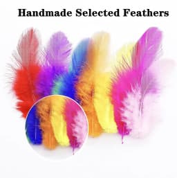 800/100Pcs Colorful Feathers 3-5-inch Craft Feathers Wedding Family Decorations, Dream Catcher Supplies, Natural Feathers 2029