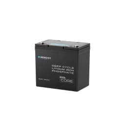 Renogy 12V 100Ah LiFePO4 Battery with Bluetooth and Self-Heating Function, 12V Lithium Leisure Battery over 5000 Deep Cycles