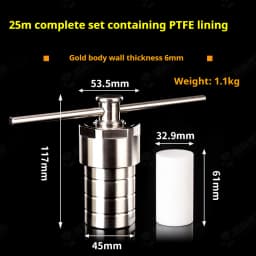 25ml PTFE Lined Hydrothermal Synthesis Autoclave Reactor 3Mpa 304 Steel High Pressure Hydrothermal Digestion Tank PTFE