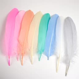 20-1000pcs Natural Big Goose Feather Craft Jewelry Carnival Party 15-20CM Colorful Goose Feather for Home Handicraft Decor Plume
