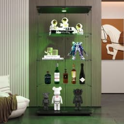 Anajqaqia Glass Display Case, 2 Doors, 4 Shelves, with LED Lights, 80.49 X 36.49 X 163.9 cm, Black