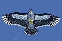 New Outdoor Fun Sports Huge 185cm Eagle Kite With Handle Line Novelty Toy Kites For Adult /Kids Large Good Flying