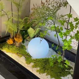 100cm*100cm Artificial Moss Carpet Aquascape Bionic Turf Fake Moss Micro-Landscaping Arrangement Lawn Bonsai Potted Plants Pavement