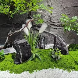 100cm*100cm Artificial Moss Carpet Aquascape Bionic Turf Fake Moss Micro-Landscaping Arrangement Lawn Bonsai Potted Plants Pavement
